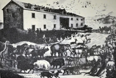 Noachs Ark
